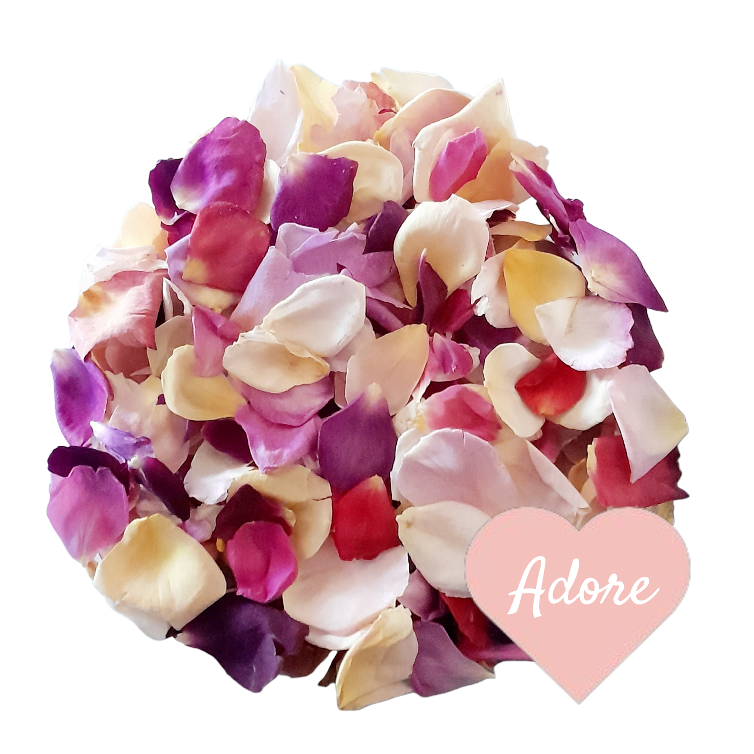 Biodegradable Wedding Confetti. A Rainbow mix of Small White, Ivory, Pink, Red, Yellow and Purple Freeze Dried Rose Petals.