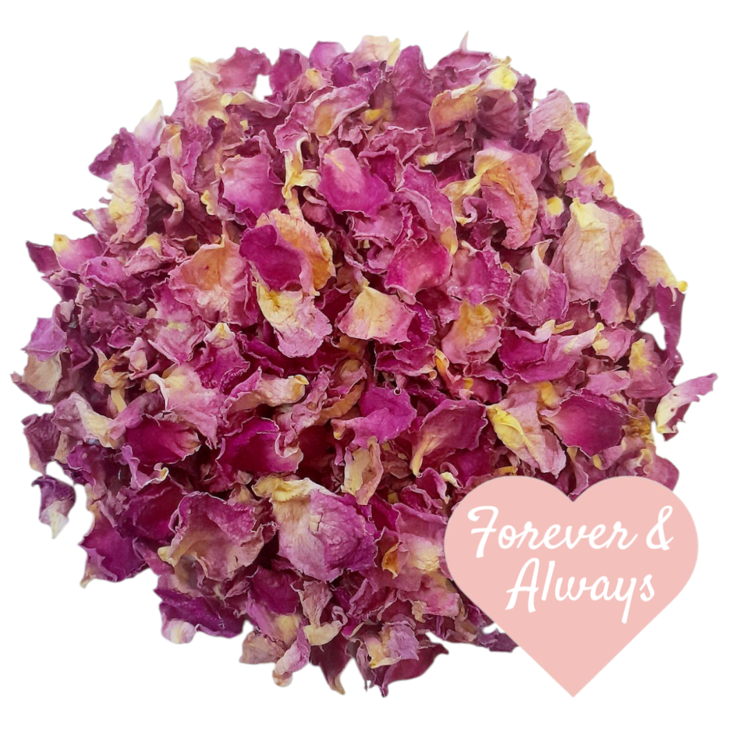 Biodegradable Flower Petal Wedding Confetti Dried Pink Rose Petals
