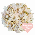 biodegradable flower petal wedding confetti White & Pink Hydrangea Petals Jasmine Buds.