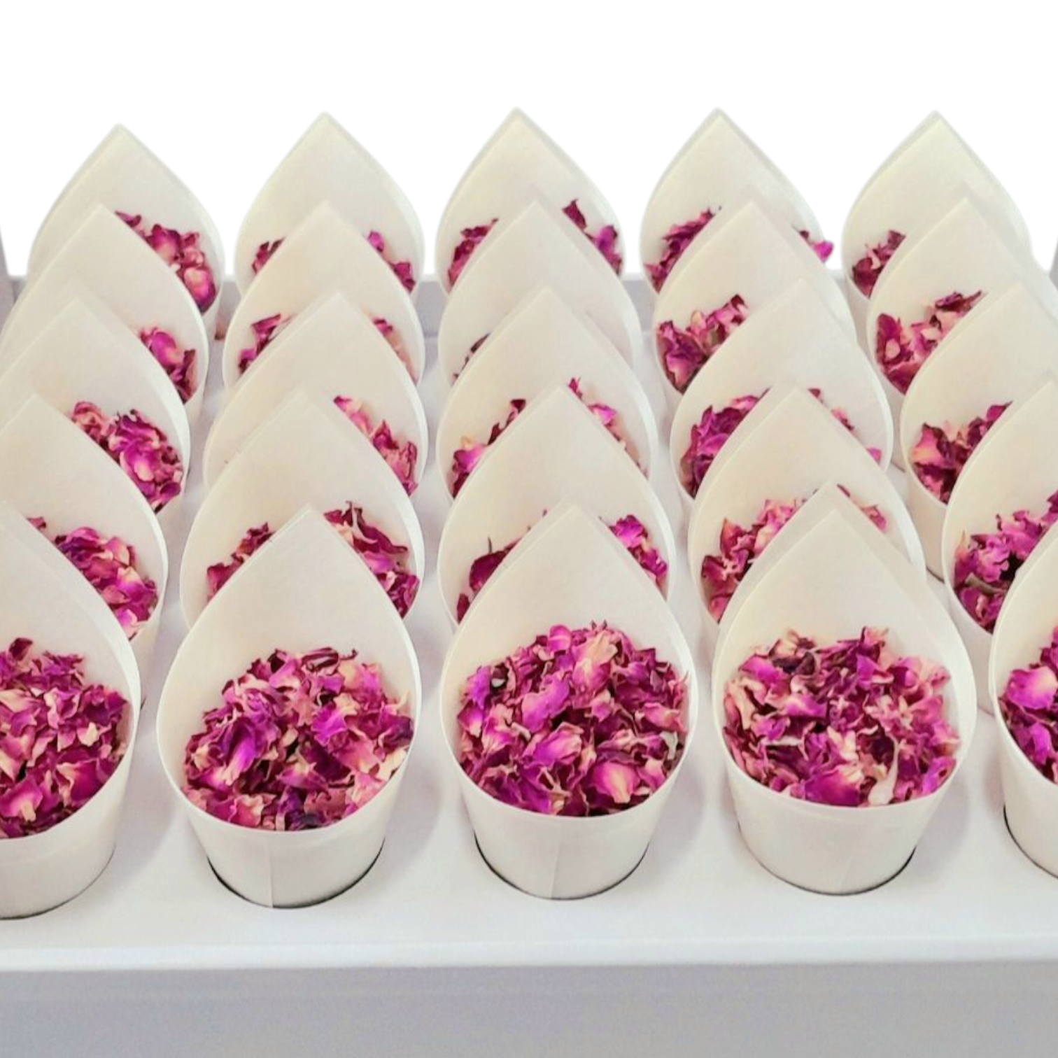 Flower Petal Confetti Bundle ( Biodegradable Confetti & Confetti Cones)