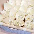 large biodegradable wedding confetti cones