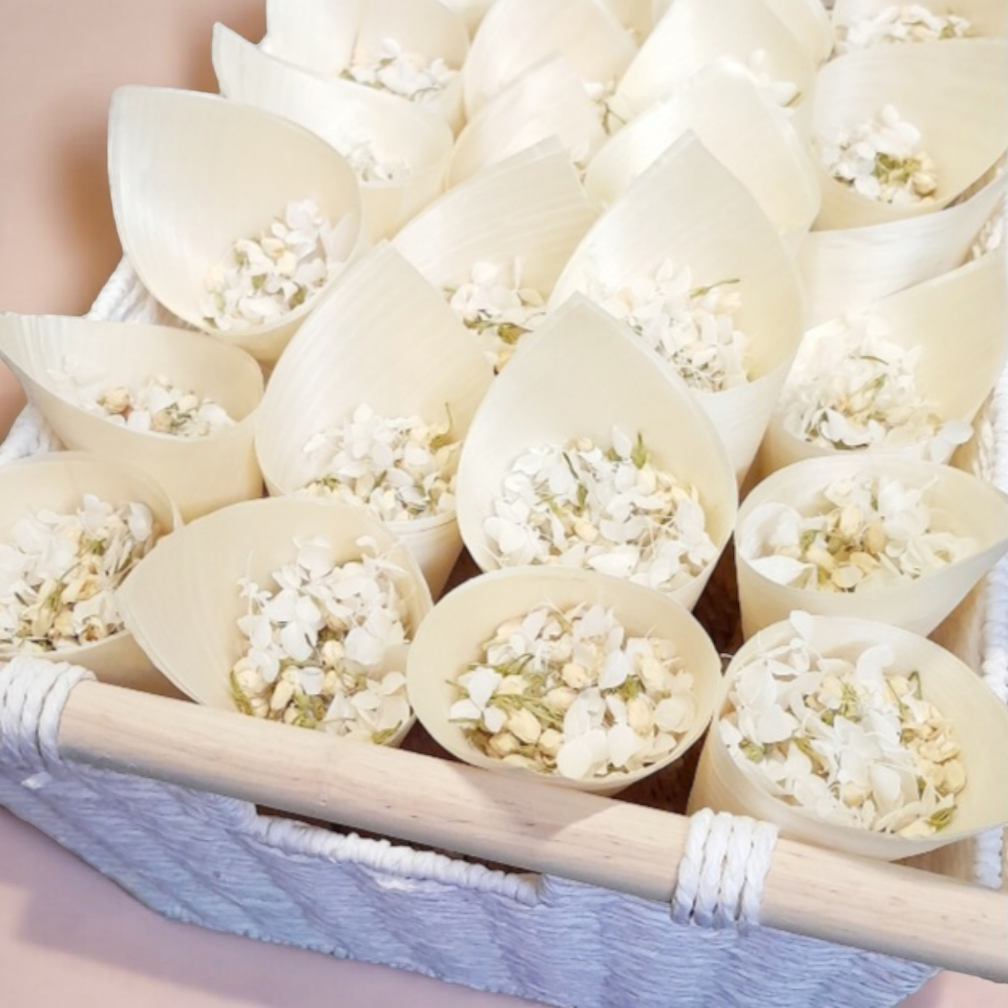 large biodegradable wedding confetti cones