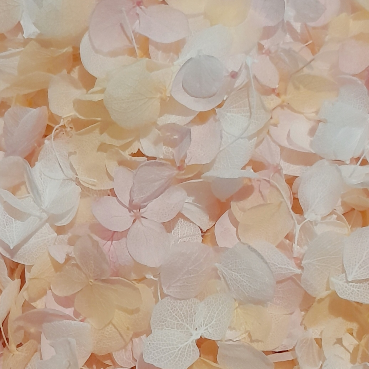 Pastel Dreams (Pink, White and Peach) Hydrangea Petals Wedding Flower Confetti (Small Petal)