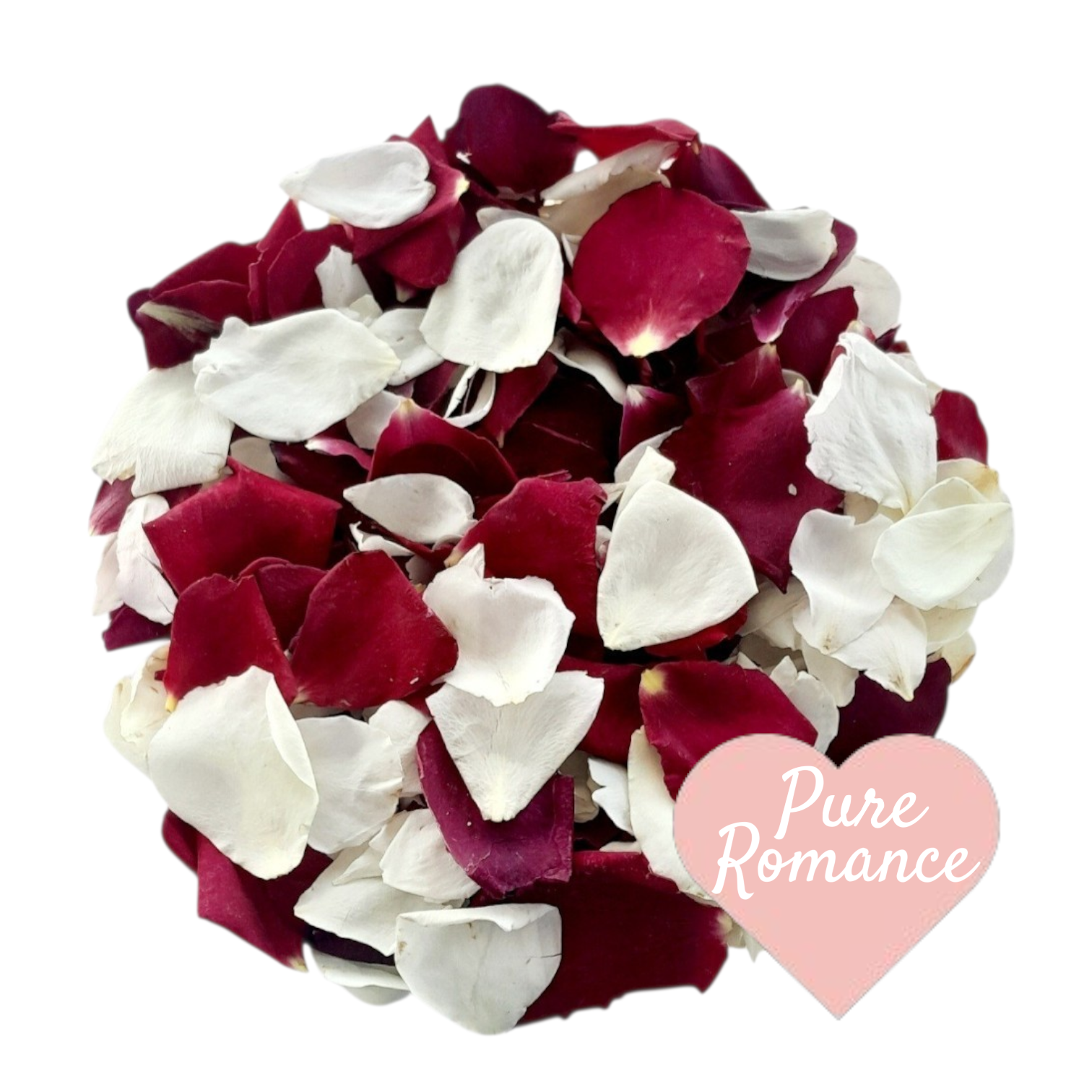 Small Ivory and Burgundy Red Freeze Dried Rose Petals. Wedding flower petal confetti