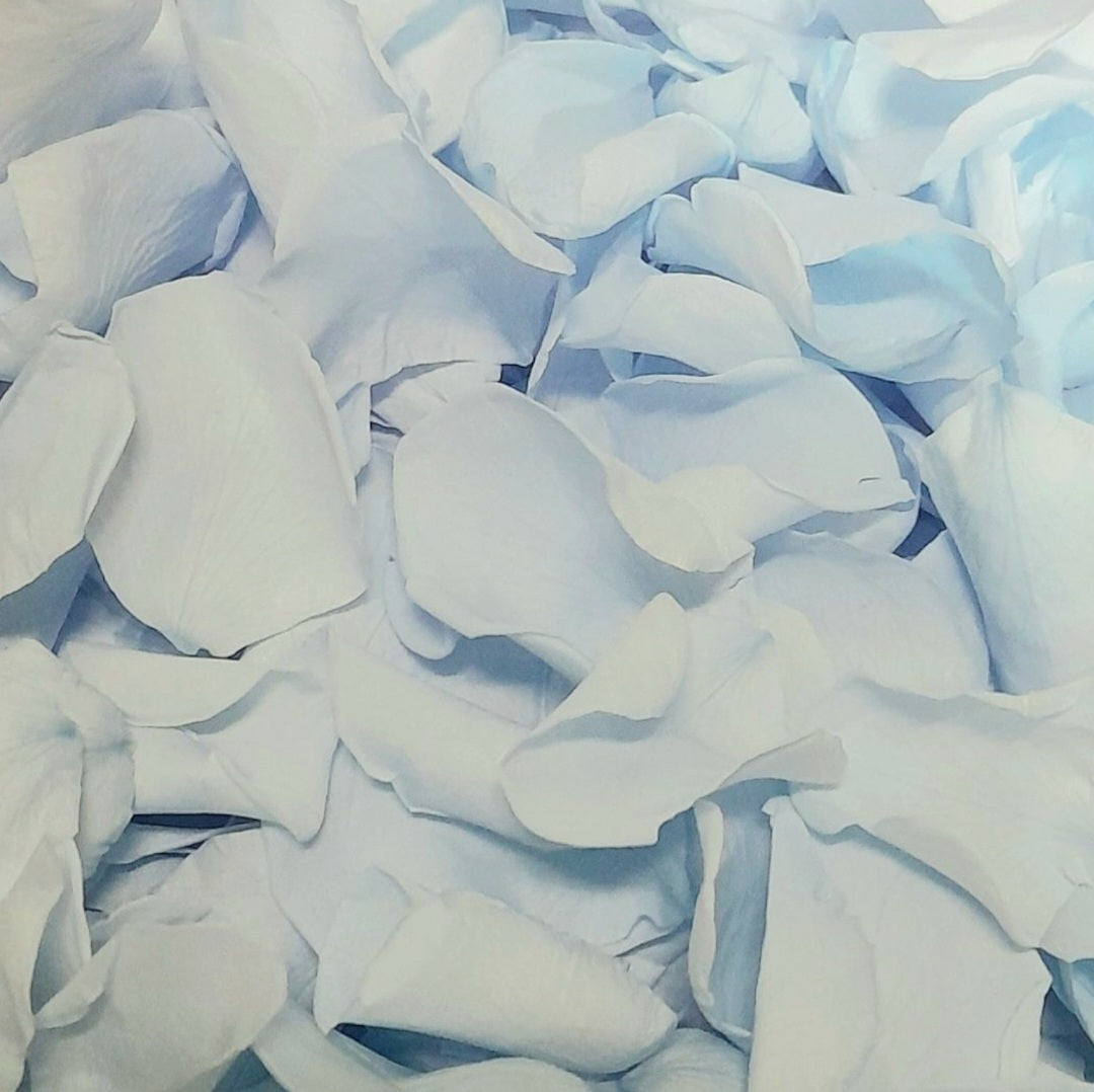 Small Blue Rose Petals Flower Confetti