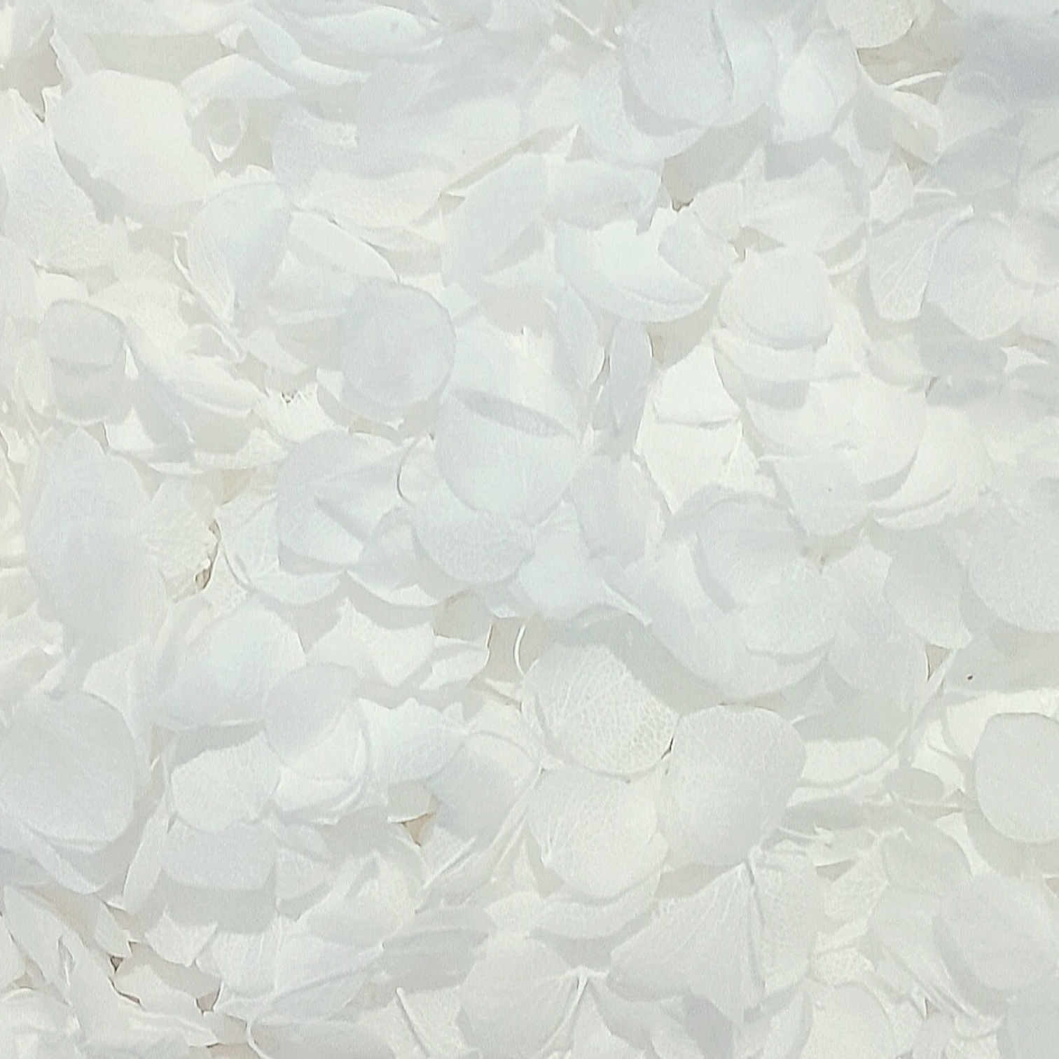 White Hydrangea Petals Flower Confetti (Small Petal)