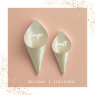 biodegradable wedding confetti cones