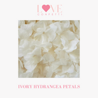 Biodegradable wedding flower petal confetti ivory hydrangea petals 