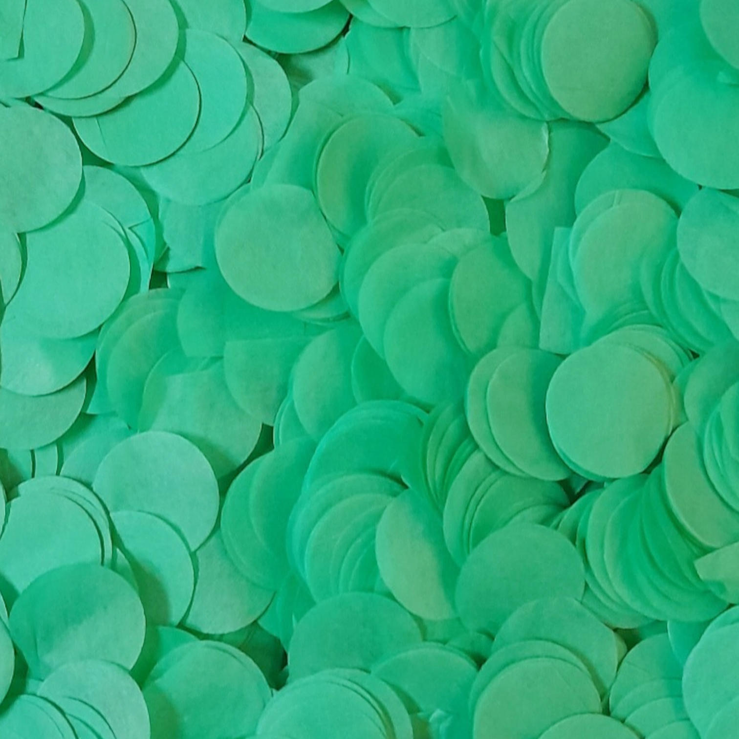 Biodegradable wedding confetti Mint Green Tissue Paper Confetti Circles