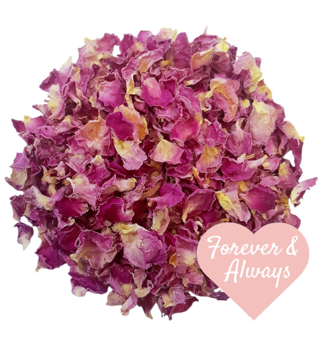 Biodegradable Flower Petal Wedding Confetti Dried Pink Rose Petals 