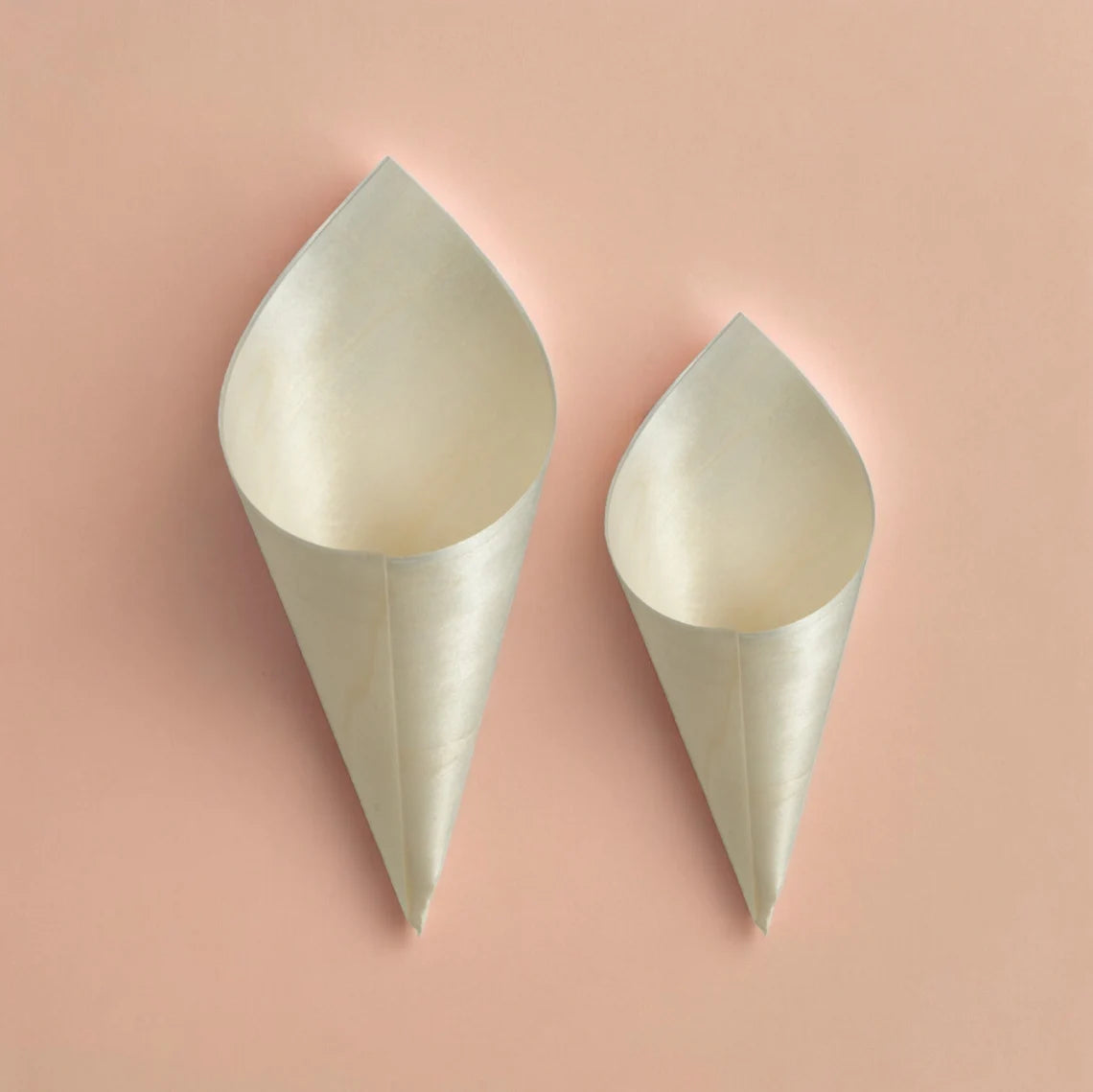  biodegradable wedding confetti cones 