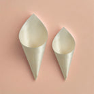  biodegradable wedding confetti cones 