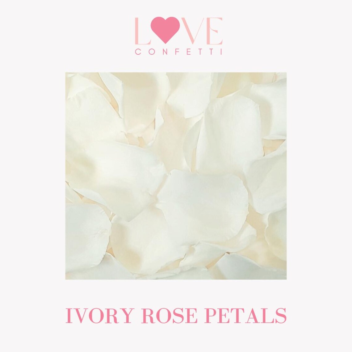 biodegradable wedding flower confetti real ivory rose petals 
