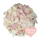 Small Ivory and Blush Pink Freeze Dried Rose Petals. Wedding flower confetti.