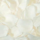 biodegradable wedding flower petal confetti real ivory rose petals 