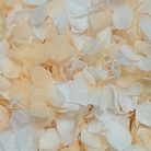 Peach & White Hydrangea Petals Wedding Flower Confetti (Small Petal)