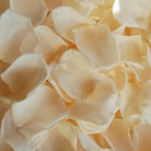Peach Rose Petals wedding Flower Confetti