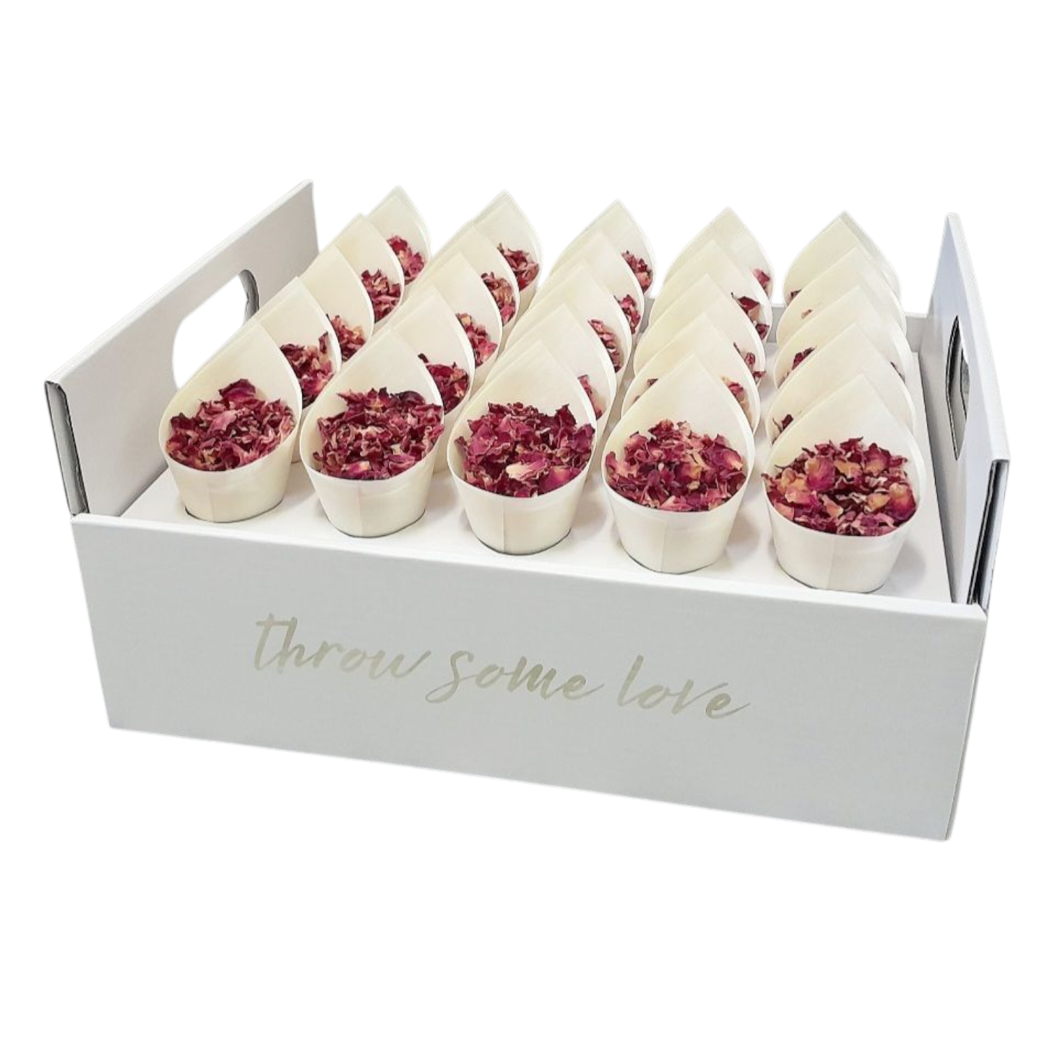 Flower Petal Confetti Bundle (Confetti, Cones & Trays)