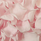 biodegradable wedding flower petal confetti real pink rose petals 