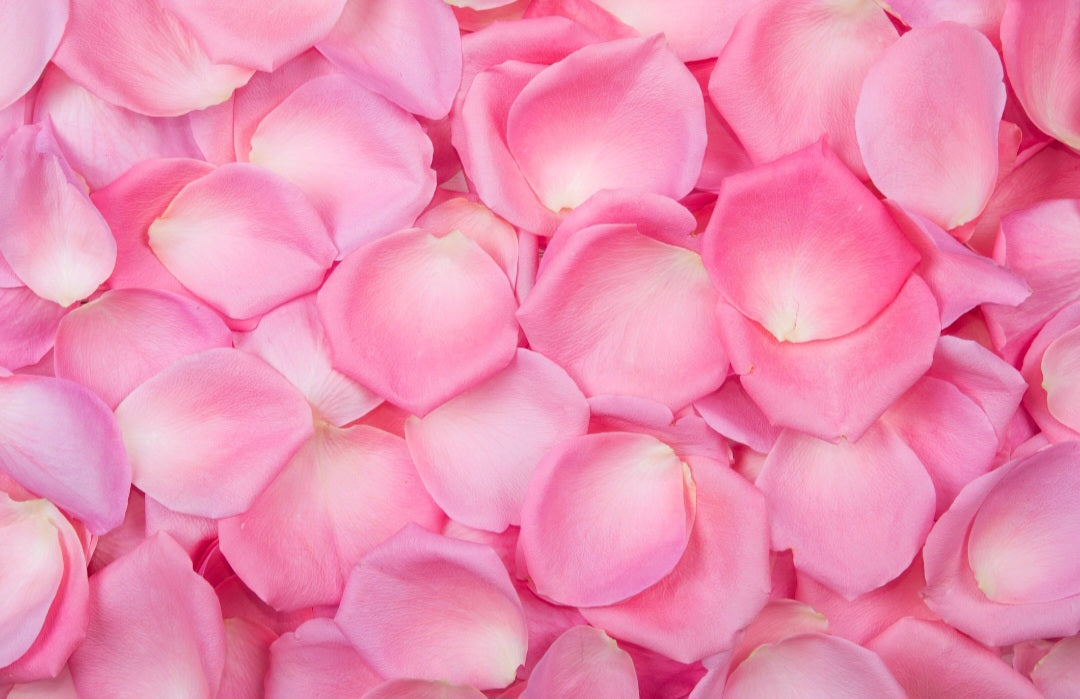 wedding confetti rose petals 