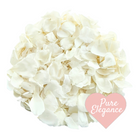 Small Ivory Freeze Dried Rose Petals. Wedding flower confetti.