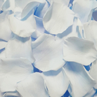 sky blue rose petal wedding confetti