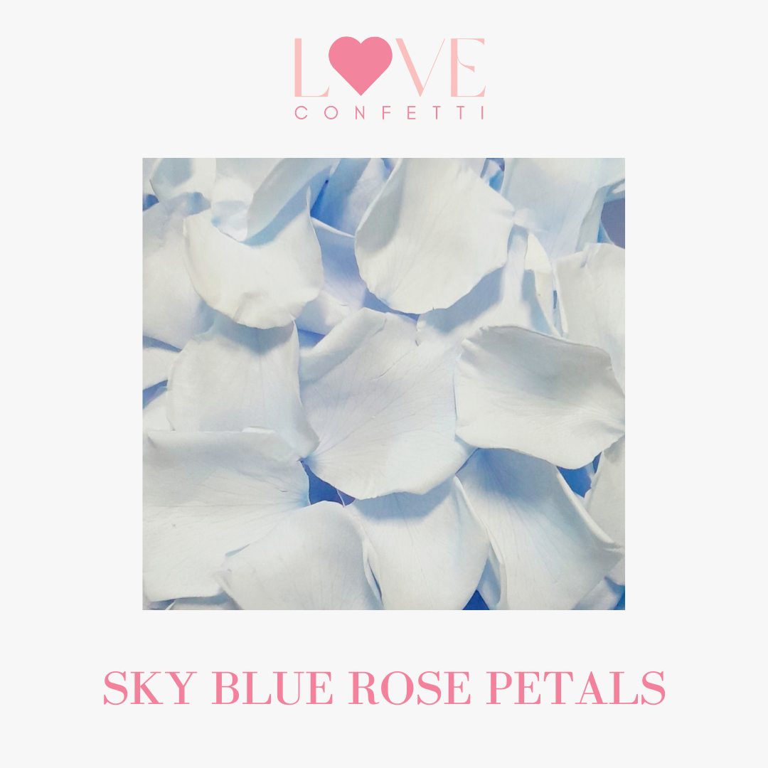 sky blue rose petals 