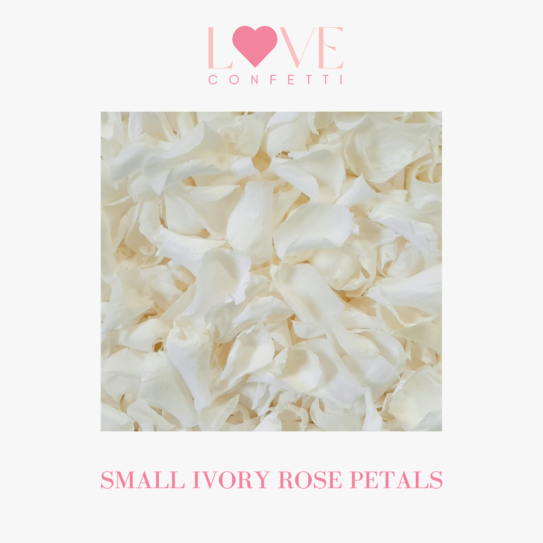 Biodegradable wedding confetti small ivory rose petals