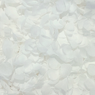 White Hydrangea Petals Flower Confetti (Small Petal)
