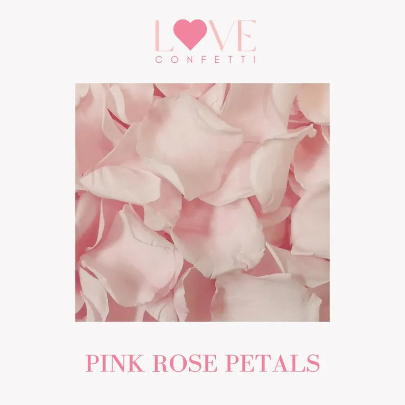 biodegradable wedding flower confetti real pink rose petals 