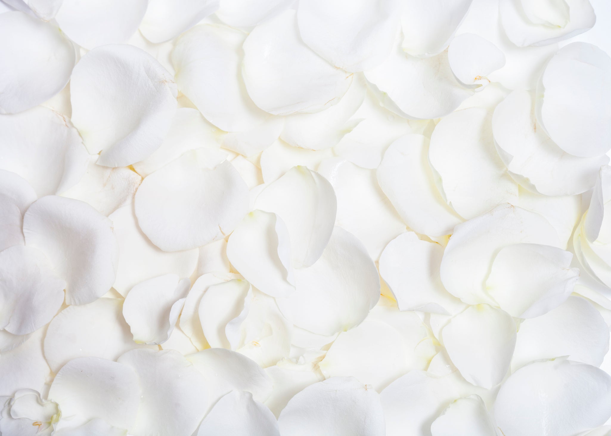 wedding confetti rose petals