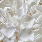 biodegradable wedding flower confetti real white rose petals 