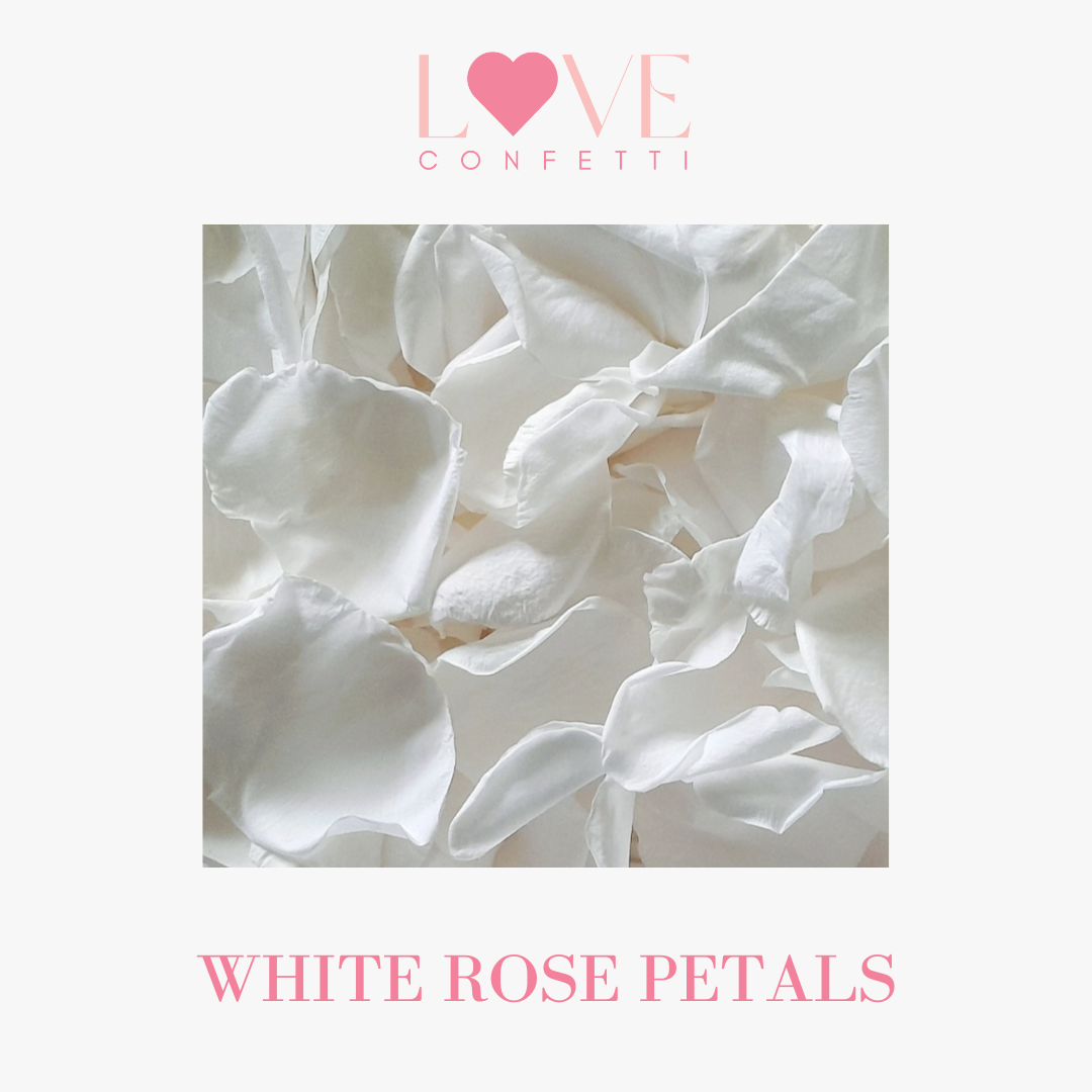 biodegradable wedding flower petal confetti real white rose petals 